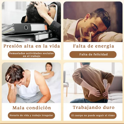 💥El último día hasta un 80% de descuento! - té de hierbas Ginseng Mulberry para la fuerza y el enfoque